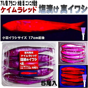 e^`EI a e d| Lɂɂ A~m_z Ou PCbh  }CV 17cmO 5 e^`EI d|^`EI a ^`EI GT 