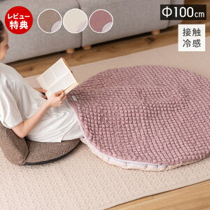 yXTtzڐG⊴ ThNbV }bg ی^  ~` a100cm ~ |bvR[n  ۂۂ ӂӂ  k ݃J[  Ђ ؍ Ce