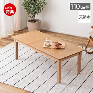 yؓT2tzZ^[e[u e[u rOe[u [e[u  ؐ i` ЂƂ炵 110 rO CeA Vv RpNg  V J