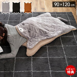 yXTtzThNbV Aj}  Ђ| uPbg l 90×120 tl {A JCC ObY  g ӂӂ Lbg xA tHbNX 