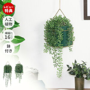 yXTtzlHϗtA tFCNO[ ݂艺 nMO   CeA O[ A[eBtBV   Mtg Vzj JXj zj  