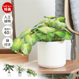 【当店限定特典付】人工観葉植物 フェイクグリーン 卓上 40cm 造花 インテリア グリーン アーティフィシャル 飾り おしゃれ ギフト 新築祝い 開店祝い 引越し祝い テーブル 会社 事務所 自宅 オフィス 玄関 洗面所 癒し