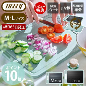 y365o&XTtztoffy gtB[ 𓀃v[gt JbeBO{[hM L 𓀃v[g ܂Ȕ 12 } ⓀHi eM K-KU24 K-KU24-L 2way R }    ٓ 