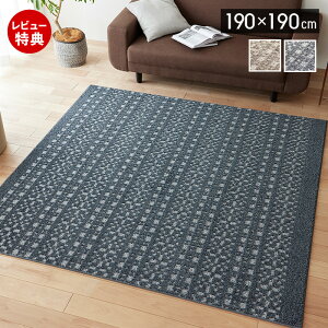 �y���ؓ��T2�t���z���O ���O�}�b�g ���{�� �J�[�y�b�g 190×190 �����` ����~�� �}�b�g ���g�[ �z�b�g�J�[�y�b�g�Ή� ���^����z HOT&COOL �V���v�� ������� �ۉ� �ۗ� �x�[�W�� �l�C�r�[ �p