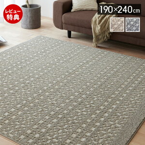 �y���ؓ��T2�t���z���O ���O�}�b�g ���{�� �J�[�y�b�g 190×240 �����` ����~�� �}�b�g ���g�[ �z�b�g�J�[�y�b�g�Ή� ���^����z HOT&COOL �V���v�� ������� �ۉ� �ۗ� �x�[�W�� �l�C�r�[ �p