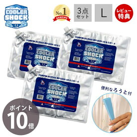 [6/4 20時～抽選で300%P還元]【当店限定特典付き】COOLER SHOCK クーラーショック 保冷剤 L 3個セット ソフト 強力 保冷パック ジェル 薄型 氷点下 高機能 医療技術 長時間 長持ち アウトドア キャンプ 災害 停電 レジャー 最強 防災グッズ クーラーボックス アメリカ