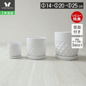 y1Nۏ&XTtzAؔ t[|bg ϗtA O[ 4 5 6 7 8 CeA  v^[ Mt M Z~bN  O  Jo[ 3Zbg 25cm 20cm