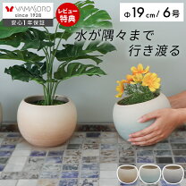 楽天市場】植木鉢 陶器 6号（植木鉢・プランター｜ガーデニング・農業 