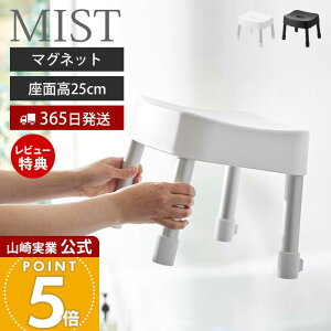 y365o&XTtzR }OlbgCCX SH25 ~Xg MIST    25cm C֎q C oX`FA ~ A~r y qI oXObY  