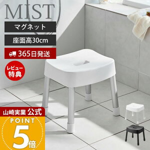 y365o&XTtzR }OlbgCCX SH30 ~Xg MIST    30cm C֎q C oX`FA ~ A~r y qI oXObY  