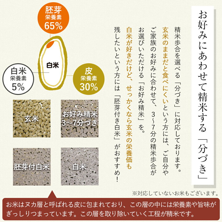 楽天市場】令和7年産 農薬7割減 特別栽培米 きぬむすめ 静岡県産 産地 