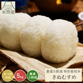 【本日クーポンで15%OFF】令和7年産 農薬5割減 特別栽培米 きぬむすめ 静岡県産 産地直送[3kg 5kg 10kg]減農薬 農薬減 米 コメ お米 rice 玄米 白米 精米 分づき米 分づき 胚芽付 胚芽米 単一原料米 3キロ 5キロ 10キロ 5kg×2 送料無料 又平商店
