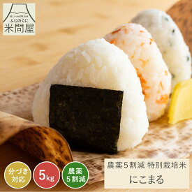 【本日クーポンで15%OFF】令和7年産 農薬5割減 特別栽培米 にこまる 産地直送[静岡県産][3kg 5kg 10kg]減農薬 農薬減 米 コメ お米 玄米 白米 精米 分づき米 分づき 胚芽付 胚芽米 単一原料米 3キロ 5キロ 10キロ 5kg×2 送料無料 又平商店