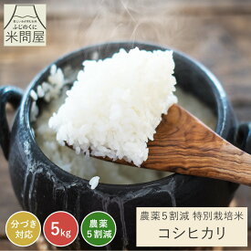 【本日クーポンで15%OFF】令和7年産 農薬5割減 特別栽培米 コシヒカリ 静岡県産 産地直送[3kg 5kg 10kg] こしひかり 減農薬 農薬減 米 コメ お米 玄米 白米 精米 分づき米 分づき 胚芽付 胚芽米 単一原料米 3キロ 5キロ 10キロ 5kg×2 送料無料 又平商店