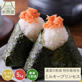 【本日クーポンで15%OFF】令和7年産 農薬5割減 特別栽培米 ミルキープリンセス 静岡県産 産地直送 [3kg 5kg 10kg] 減農薬 農薬減 米 コメ お米 玄米 白米 精米 分づき米 分づき 胚芽付 胚芽米 単一原料米 3キロ 5キロ 10キロ 5kg×2 送料無料 又平商店
