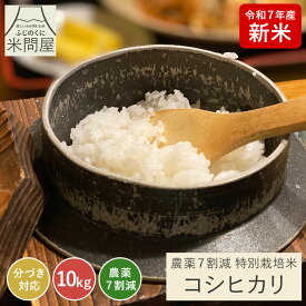 【新米 令和7年産】農薬7割減 特別栽培米 コシヒカリ 静岡県産 産地直送[3kg 5kg 10kg] [好みに合わせて精米]こしひかり 減農薬 農薬減 コメ お米 rice 玄米 白米 精米 分づき 胚芽付 胚芽米 単一原料米 3キロ 5キロ 10キロ 5kg×2 送料無料 又平商店