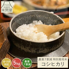 【本日クーポンで15%OFF】令和7年産 送料無料 分づき 米 白米 玄米 コシヒカリ 3キロ 5キロ 10キロ 静岡県産 "分づき対応でお好みに合わせて精米" 減農薬 農薬減 分づき米 特別栽培米 一等米 胚芽付 胚芽米 単一原料米 3kg 5kg 10kg 5kg×2 又平商店
