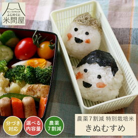 【先着順 クーポンで10%OFF】令和7年産 農薬7割減 特別栽培米 きぬむすめ 静岡県産 産地直送 3kg 5kg 10kg 好みに合わせて精米 減農薬 農薬減 米 コメ お米 玄米 白米 精米 分づき 胚芽付 胚芽米 単一原料米 3キロ 5キロ 10キロ 5kg×2 送料無料 又平商店