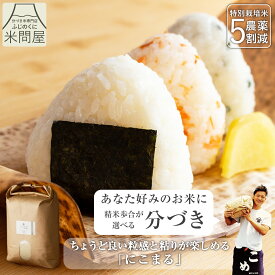 【本日クーポンで20%OFF】令和7年産 送料無料 分づき 米 白米 玄米 にこまる 3キロ 5キロ 10キロ "ちょうど良い粒感と粘りが楽しめる" 静岡県産 減農薬 農薬5割減 特別栽培米 一等米 胚芽付 胚芽米 分づき米 精米 単一原料米 又平商店