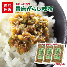 青唐がらし味噌　250g×3袋千葉のお土産や特産品といえば、やます送料込 人気 ご飯のお供 青唐辛子みそ お取り寄せ 味噌 おにぎりの具 ごはんに合う 辛味噌 ポスト投函便