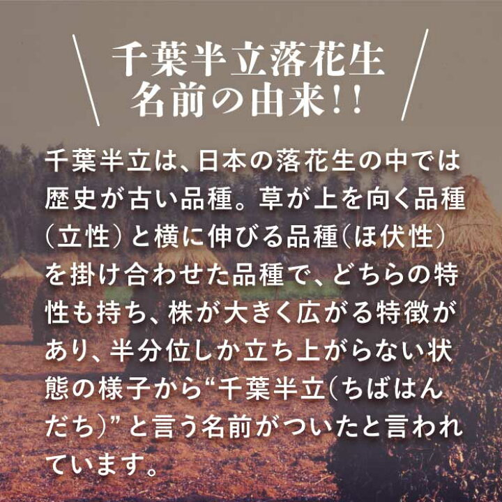 楽天市場 半立落花生180g 5袋 送料無料千葉 千葉県産 八街産 落花生 ピーナッツ ピーナツ 最高品種 うまい おつまみ さや煎り 送料無料 送料込み やます楽天市場店
