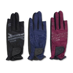 OEhStpi OhSt n^`@EgXgb`O[u BH8028@}[J[͕ʔł