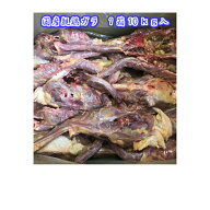 【冷凍】国産親鶏ガラ　10K　山食