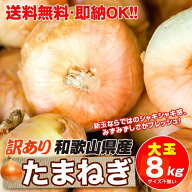 【予約】 和歌山県産 訳あり新玉葱 大玉(1玉300g以上) 8kg リサイクル箱(古箱)に入れ発送 送料無料 淡路…