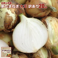 和歌山県産 訳あり 新玉葱 大玉(1玉300g以上) 20kg リサイクル箱(古箱)に入れ発送 【送料無料 （北海道、…