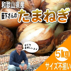 和歌山県産 薮下さんの特別栽培 新たまねぎ 新玉葱 訳あり 5kg 【送料無料 （北海道、沖縄県除く）】 淡路島産 九州産 北海道産にも負けない品質 生産者限定 減農薬 特栽たまねぎ サイズ不揃い ※4月中下旬より順次発送開始予定