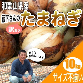 【通常価格より100円OFF】和歌山県産 薮下さんの特別栽培 新玉葱 訳あり 10kg 【送料無料 （北海道、沖縄県除く）】 淡路島産 九州産 北海道産にも負けない品質 減農薬 特栽たまねぎ サイズ不揃い ※4月下旬頃〜5月上旬頃より順次発送開始予定