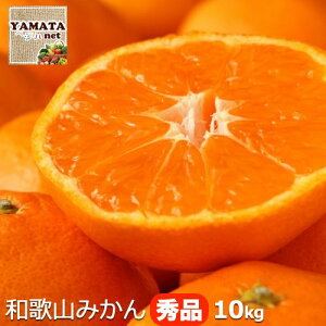 y\za̎RY ݂ ~J Gi 10kg y(kCAꌧ)zMtg p D݂̃TCYIׂ閨 yȂz10{ׂ莟悲ɔ