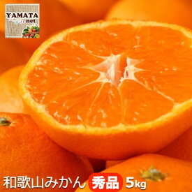 【予約】和歌山県産 みかん ミカン 秀品 5kg 【送料無料(北海道、沖縄県除く)】ギフト ご自宅用 お好みのサイズが選べる蜜柑 【訳なし】10月下旬頃より入荷あり次第ご注文順に発送