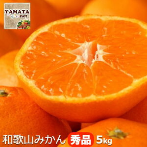 y\za̎RY ݂ ~J Gi 5kg y(kCAꌧ)zMtg p D݂̃TCYIׂ閨 yȂz10{ׂ莟悲ɔ