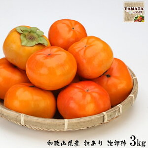 y\za̎RY 󂠂 Y` 3kg (TCYs p) yiꌧAkCjzÊ` 11{蔭\