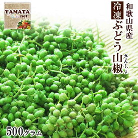 【冷凍】さんしょう ぶどう山椒 和歌山県産 山椒 500g 送料無料 山椒の実 生産量日本一の和歌山県より産地直送 【軸,枝付き、下処理なし】