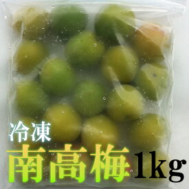 【予約】冷凍 南高梅 和歌山県産 1kg(500g×2) 送料無料 訳あり サイズ不揃い 梅酒 梅ジュース用南高梅 紀州南高梅 2025年度産南高梅使用　※6月中旬頃より発送開始予定