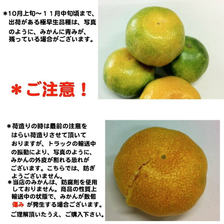 楽天市場】和歌山県産 訳ありみかん 小玉 中玉（Mサイズ〜3S 