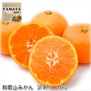 訳あり みかん 送料無料の人気商品 通販 価格比較 価格 Com