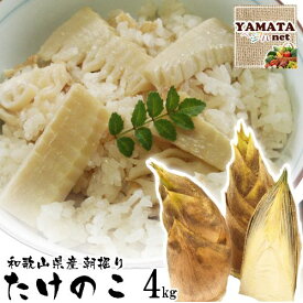 【予約】【早割】【数量限定通常より100円OFF】たけのこ 朝掘りタケノコ 和歌山県産 訳あり ご自宅用 4kg (ぬか付き) 2026年度産新 竹の子 【お届け指定日不可】【送料無料 (北海道,沖縄県除く)】4月上旬頃より発送開始予定