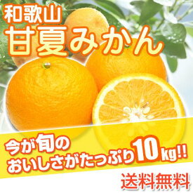 和歌山県産 訳あり 甘夏みかん あまなつ ご自宅用 10kg(傷あり サイズ不揃い シミ 汚れあり) 有田みかんで有名な和歌山県より産地直送 送料無料(北海道、沖縄除く) ※こちらの商品はリサイクル箱（古箱）で発送いたします。