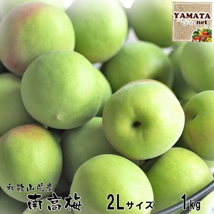 楽天市場】【予約受付開始】【お試し】和歌山県産 南高梅 青梅 秀品  
