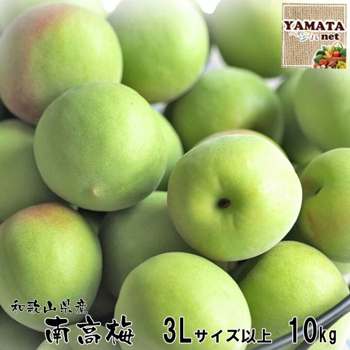 楽天市場】【予約受付開始】和歌山県産 南高梅 青梅 秀品 10kg 3L 