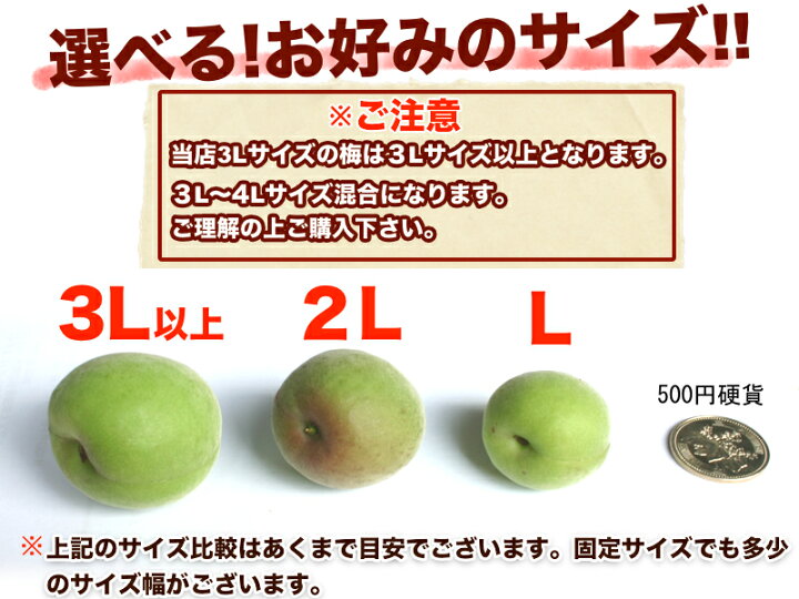 楽天市場】【予約】和歌山県産 南高梅 完熟梅 秀品 10kg 3Lサイズ以上 
