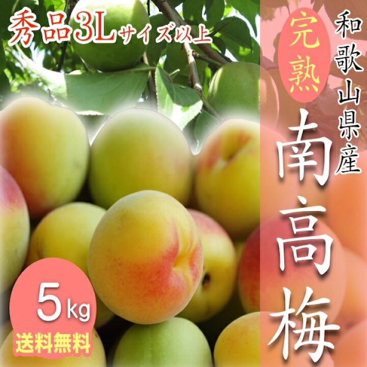 楽天市場】【予約】和歌山県産 南高梅 完熟梅 秀品 5kg 3Lサイズ以上 