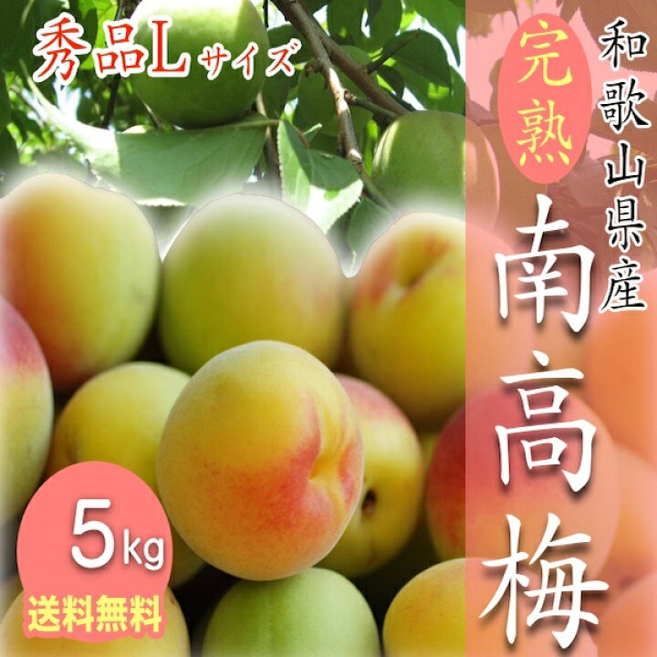 楽天市場】【予約受付中】和歌山県産 南高梅 完熟梅 秀品 5kg L 