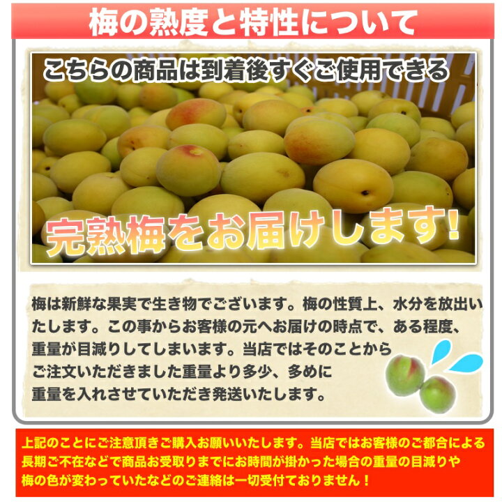 楽天市場】【予約】和歌山県産 南高梅 完熟梅 秀品 5kg 3Lサイズ以上 