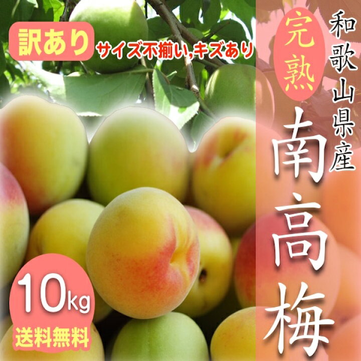 楽天市場】【予約受付中】和歌山県産 訳あり 南高梅 完熟梅 10kg 送料 