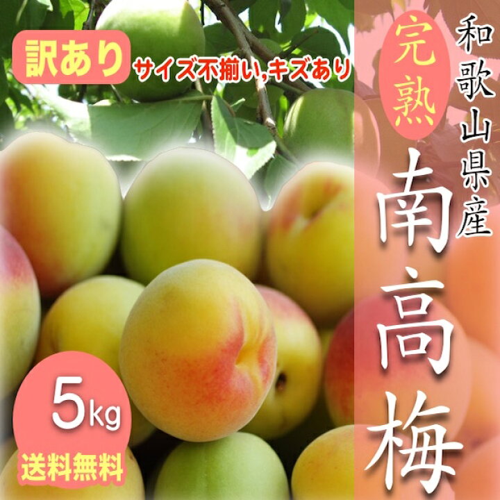 楽天市場】【予約受付中】和歌山県産 訳あり 南高梅 完熟梅 5kg 送料 