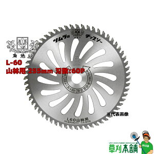 c L-60 Rїp 255mm n:60P
